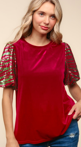 Bubble Short Sleeve Sequin Velvet Blouse