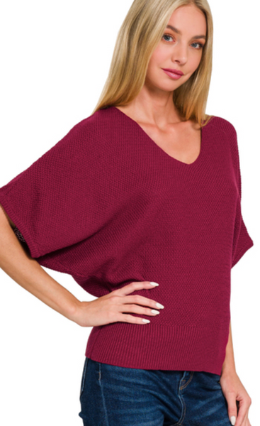 V-Neck Short Sleeve Dolman Sweater 2 Colors (S-L)